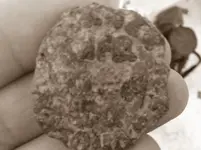 huntmysterysepia.webp