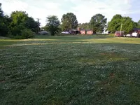 field.webp