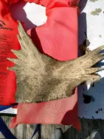 70706296-84C0-4654-A5F3-002228538190.webp