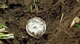 20180413_131750.webp