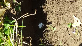 20180413_131715.webp