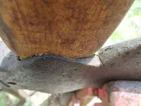 Old Dougherty Axe (7).webp