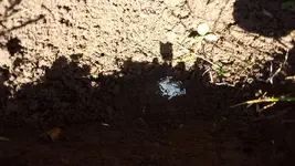 20180413_131703.webp