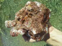 20180522_081453.webp