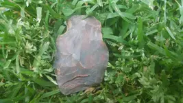0506181900a.webp