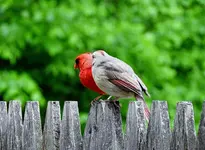 K1600_010.webp K1600_010.webp
