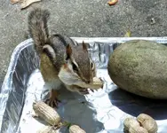 K1600_054.webp K1600_054.webp