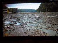 008.webp