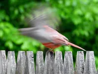 K1600_013.webp K1600_013.webp