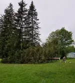20180522_144750.webp