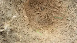 20180330_112800.webp