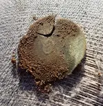 20180421_171927.webp