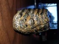 20180429_190821.webp