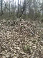 20180506_095824.webp