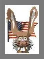 test.webp