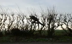 leaningintothewind.webp