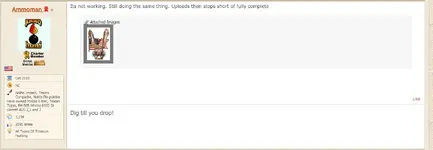 Untitled.webp