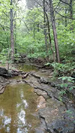 IMG_20180515_115316132.webp