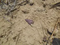 DSCN1842.webp