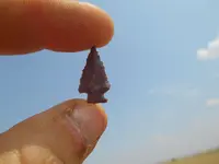 DSCN1845.webp