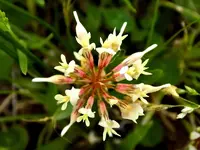 DSCN1690.webp