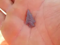 DSCN1846.webp