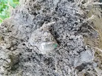 20180422_082630.webp 20180422_082630.webp