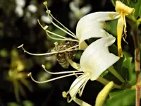 DSCN1697.webp