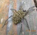 DSCN0885.webp