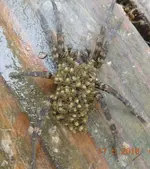 DSCN0886.webp