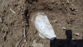 20180506_105256.webp