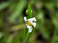 DSCN1686.webp