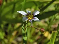 DSCN1700.webp