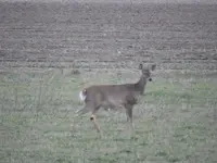 DSCN1215.webp