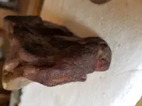 20180430_101838.webp