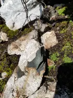 20170713_172525.webp 20170713_172525.webp