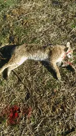 20161210_093825.webp