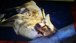 20161004_160238.webp