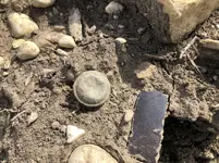 button.webp