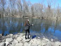 K1600_007.webp