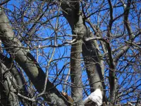 K1600_017.webp