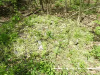 DSCN1751.webp
