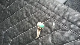 ring.webp