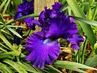 DSCN1620.webp