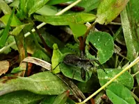 DSCN1628.webp