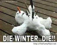 awesome-pictures-funny-animals-funny-images-funny-jokes-Favim.com-1001464.webp