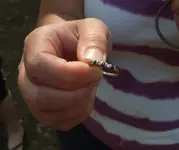 found ring.webp