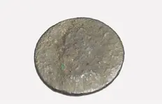 ImageUploadedByTreasureNet.com1523189642.462546.webp ImageUploadedByTreasureNet.com1523189642.462546.webp
