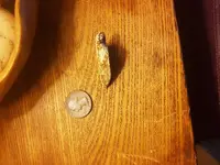 20180426_184724.webp