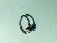 KS ring.webp